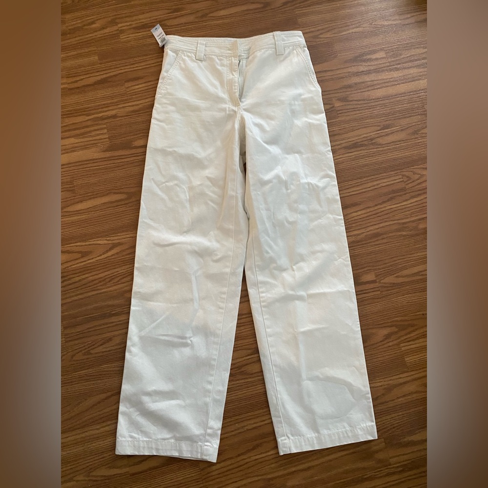 Aritzia Jaden Pant